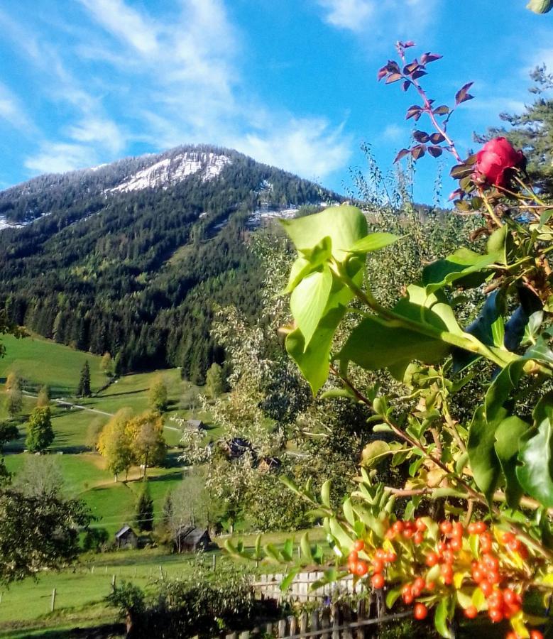 Frühstückspension Stammerhof *