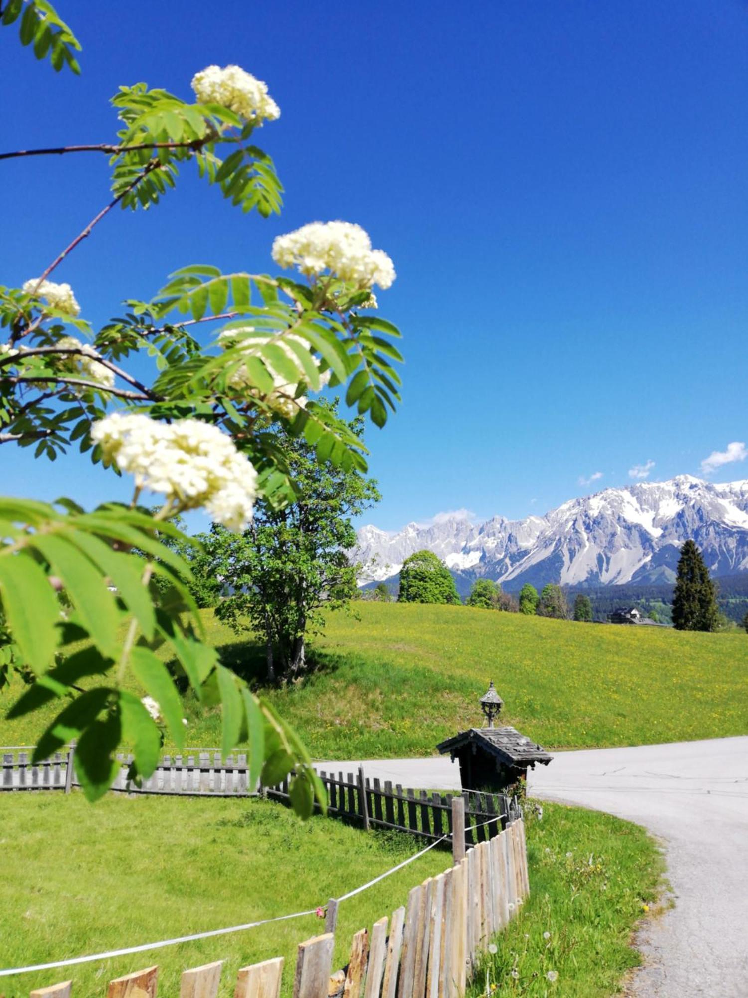 Stammerhof * Schladming