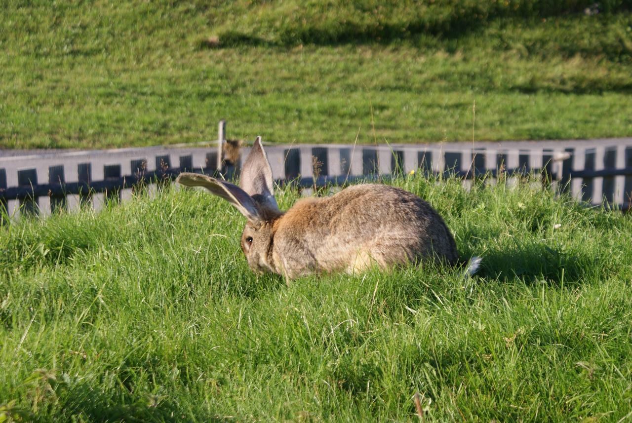 Stammerhof Frühstückspension